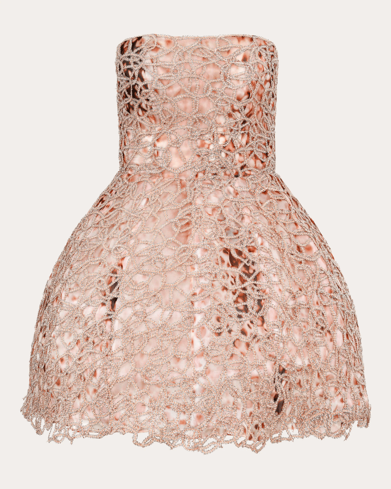 Francesca Miranda Women's Peony Lace Fit & Flare Mini Dress in Pink Silk/Polyester