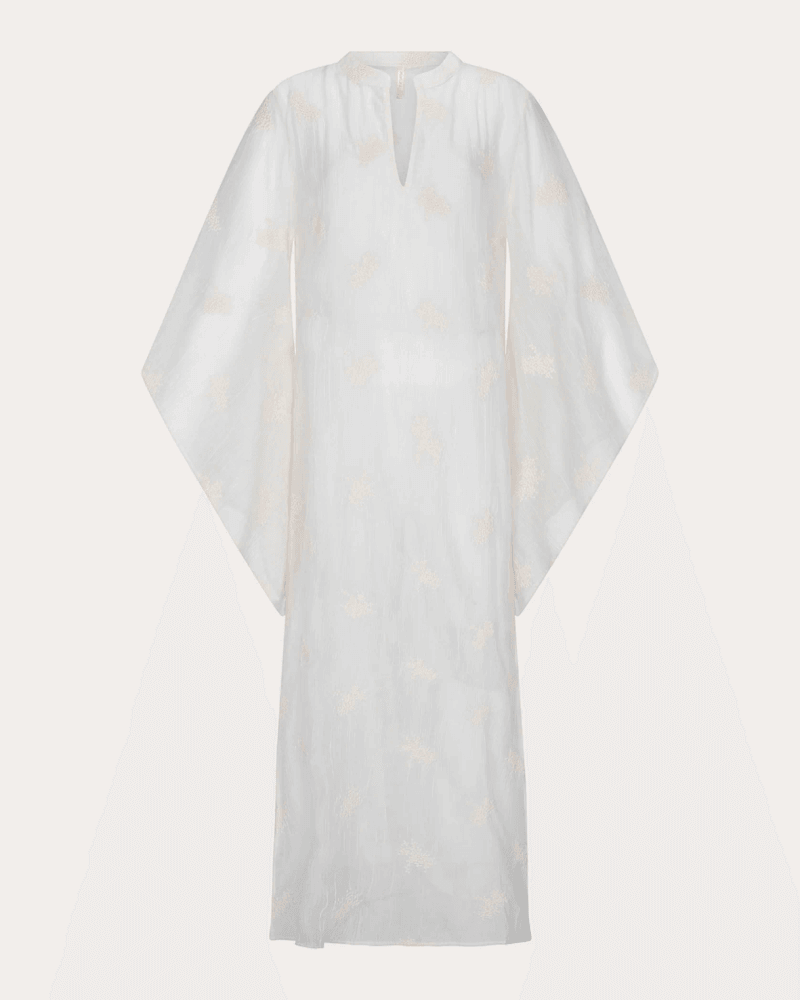 Aguaclara Women's La Perle Sheer Embroidered Maxi Kaftan in Grey Cotton/Viscose