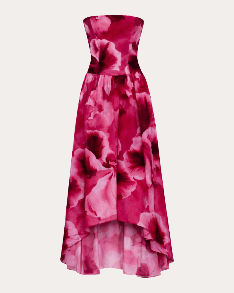 Azeeza Women's Nayara Floral Crepe de Chine Corset Midi Dress in Pink Viscose/Polyester/Silk